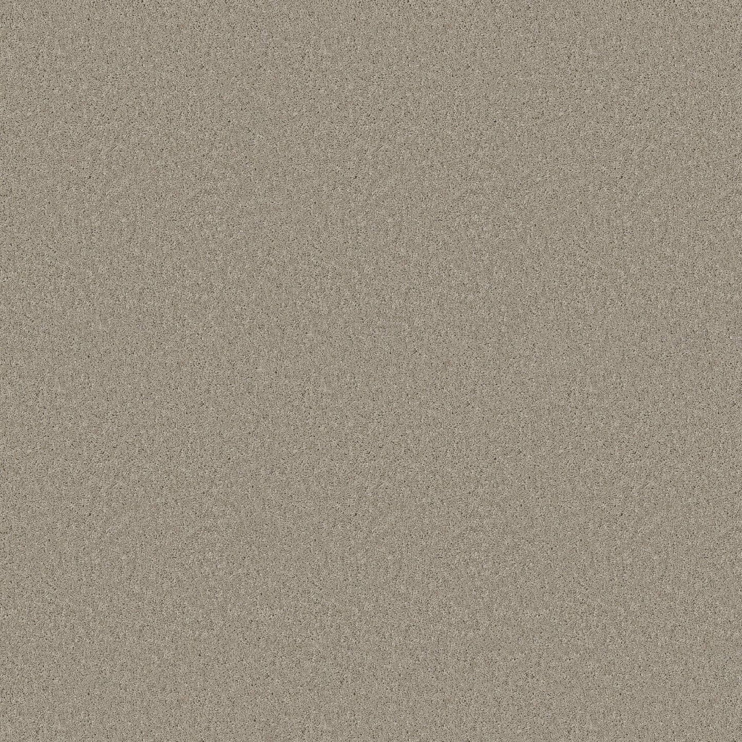 TEXTURE BCF