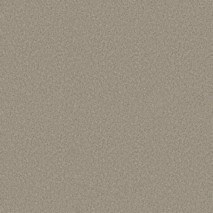 TEXTURE BCF
