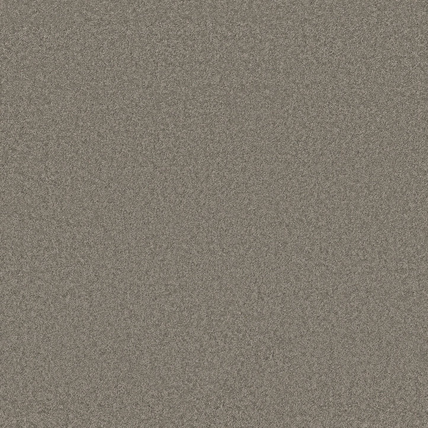 TEXTURE BCF
