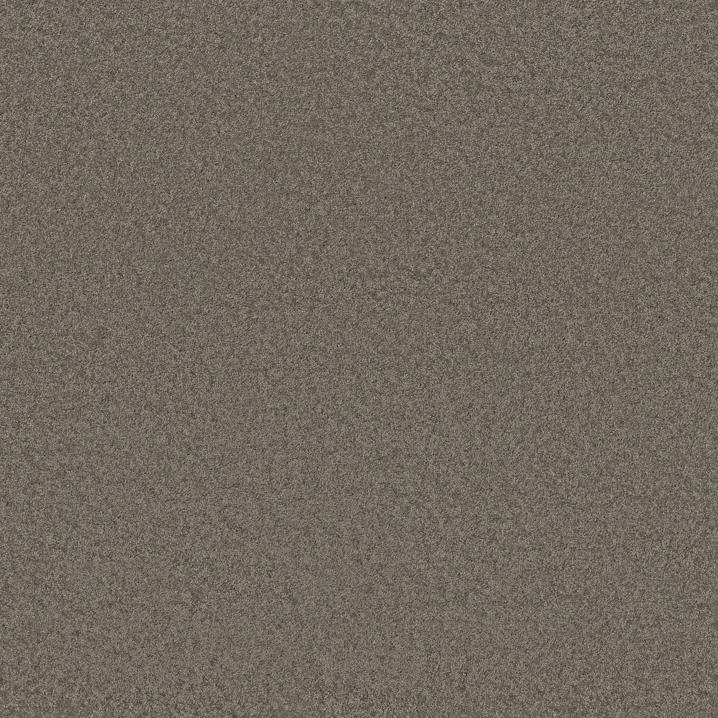 TEXTURE BCF