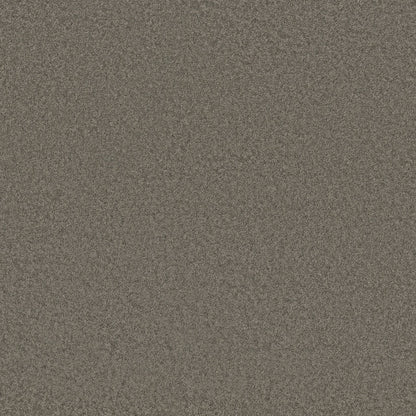 TEXTURE BCF