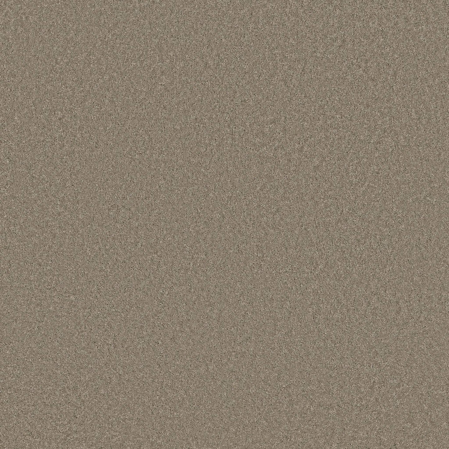 TEXTURE BCF