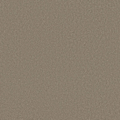 TEXTURE BCF