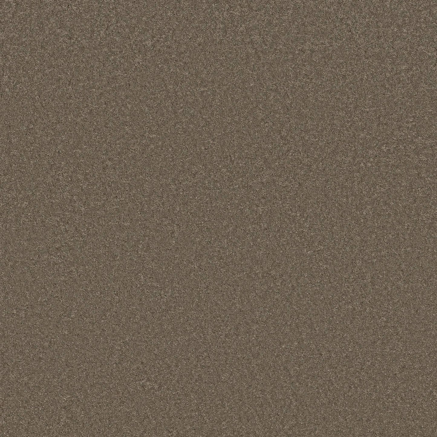 TEXTURE BCF