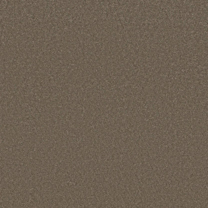 TEXTURE BCF