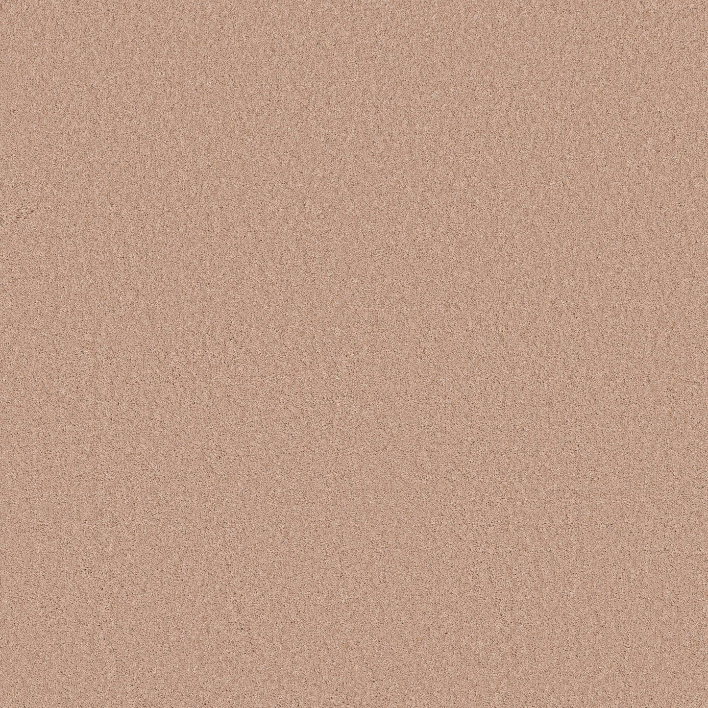 TEXTURE BCF