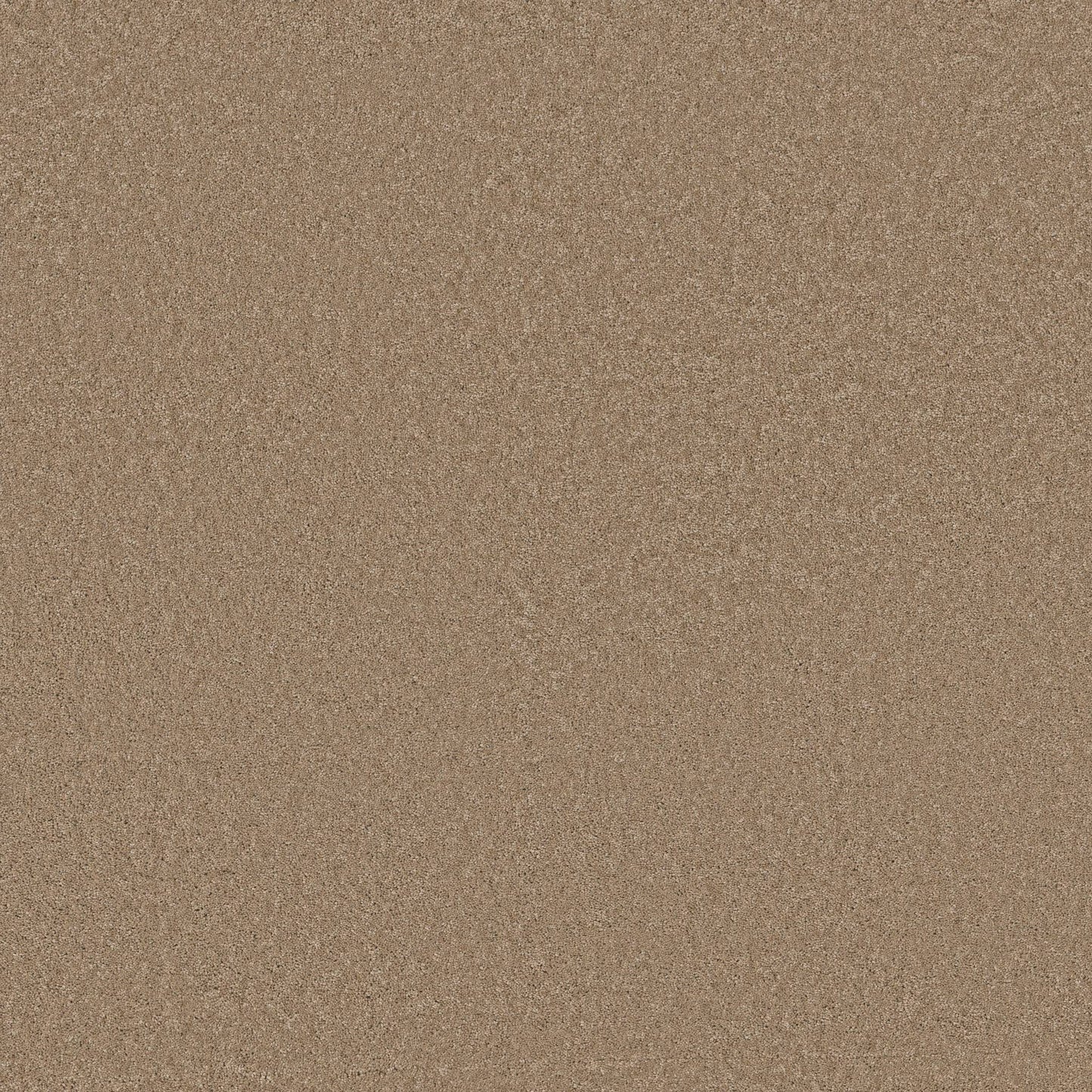 TEXTURE BCF