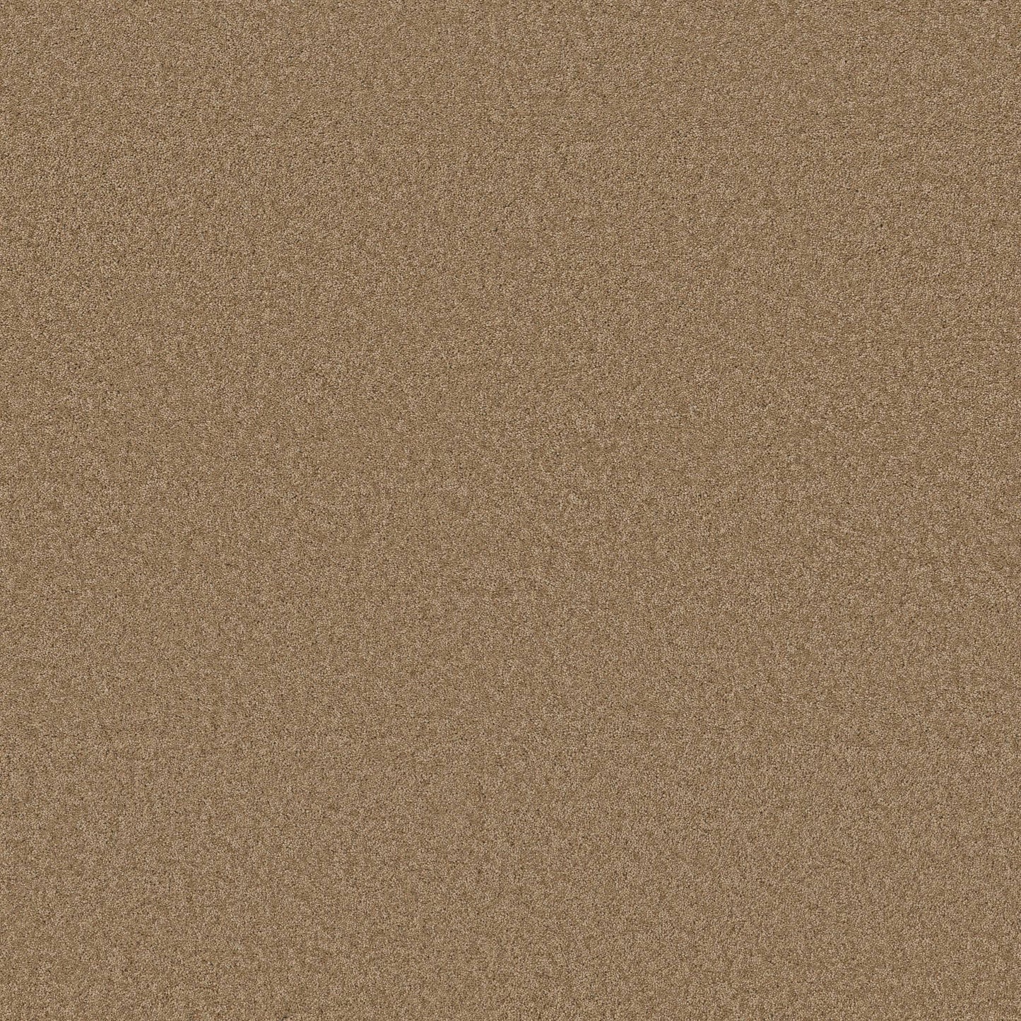 TEXTURE BCF