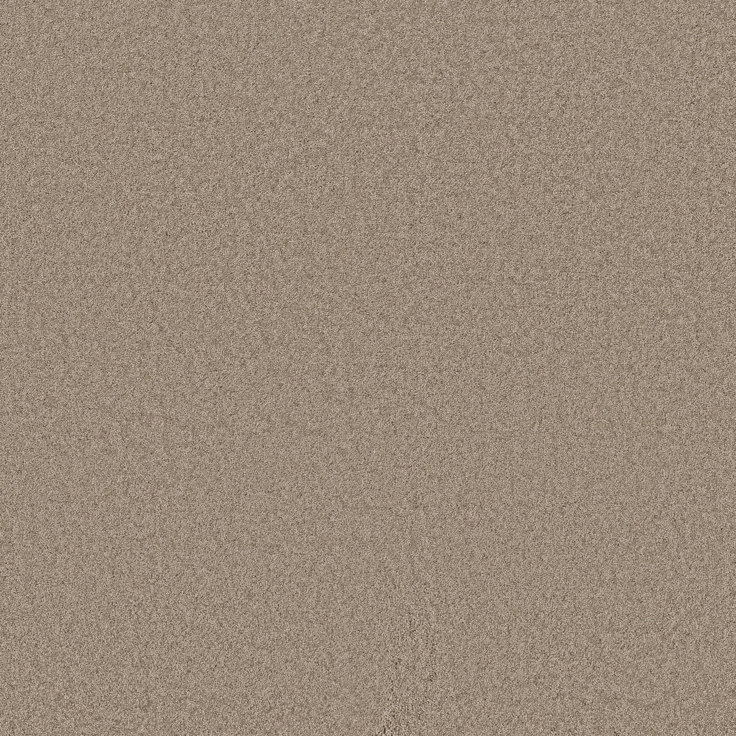 TEXTURE BCF