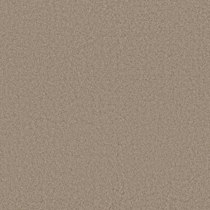 TEXTURE BCF
