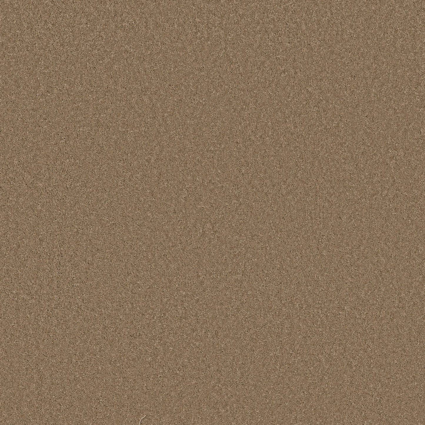 TEXTURE BCF
