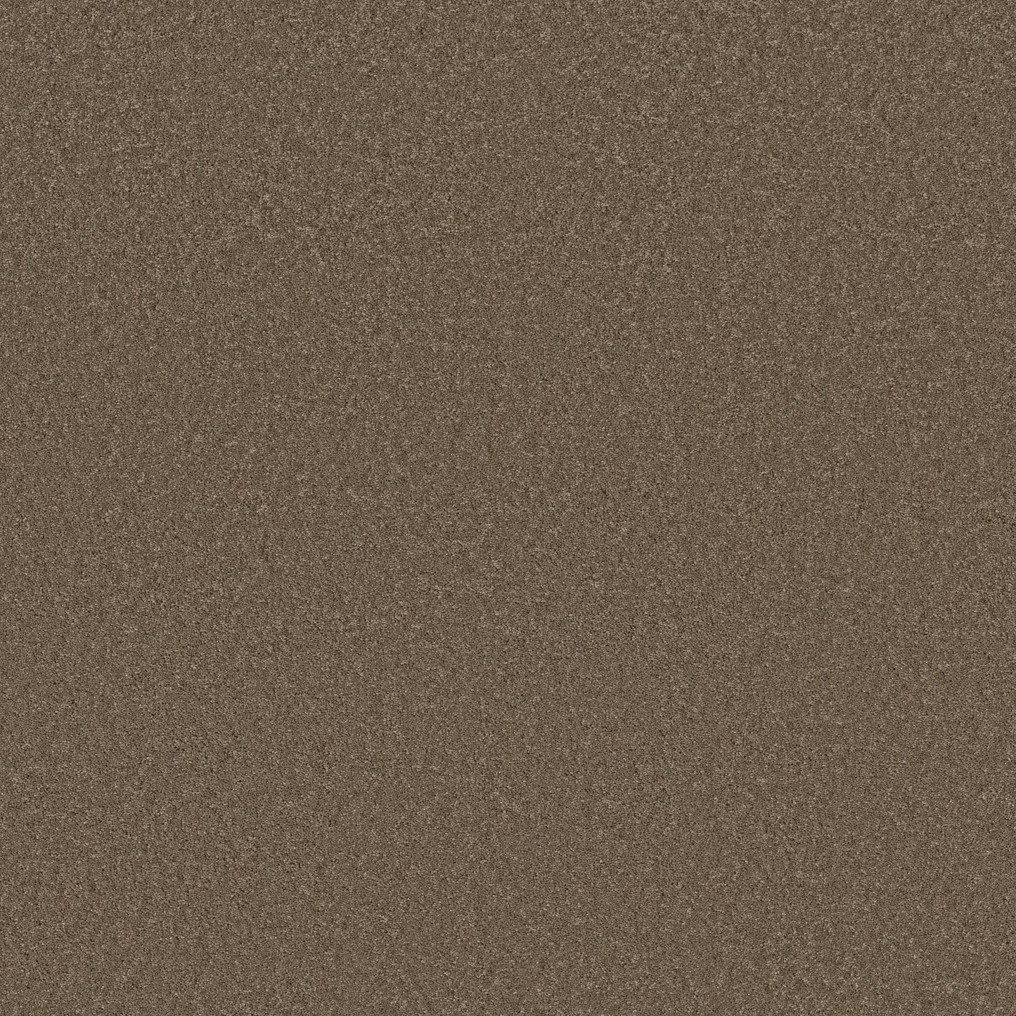 TEXTURE BCF