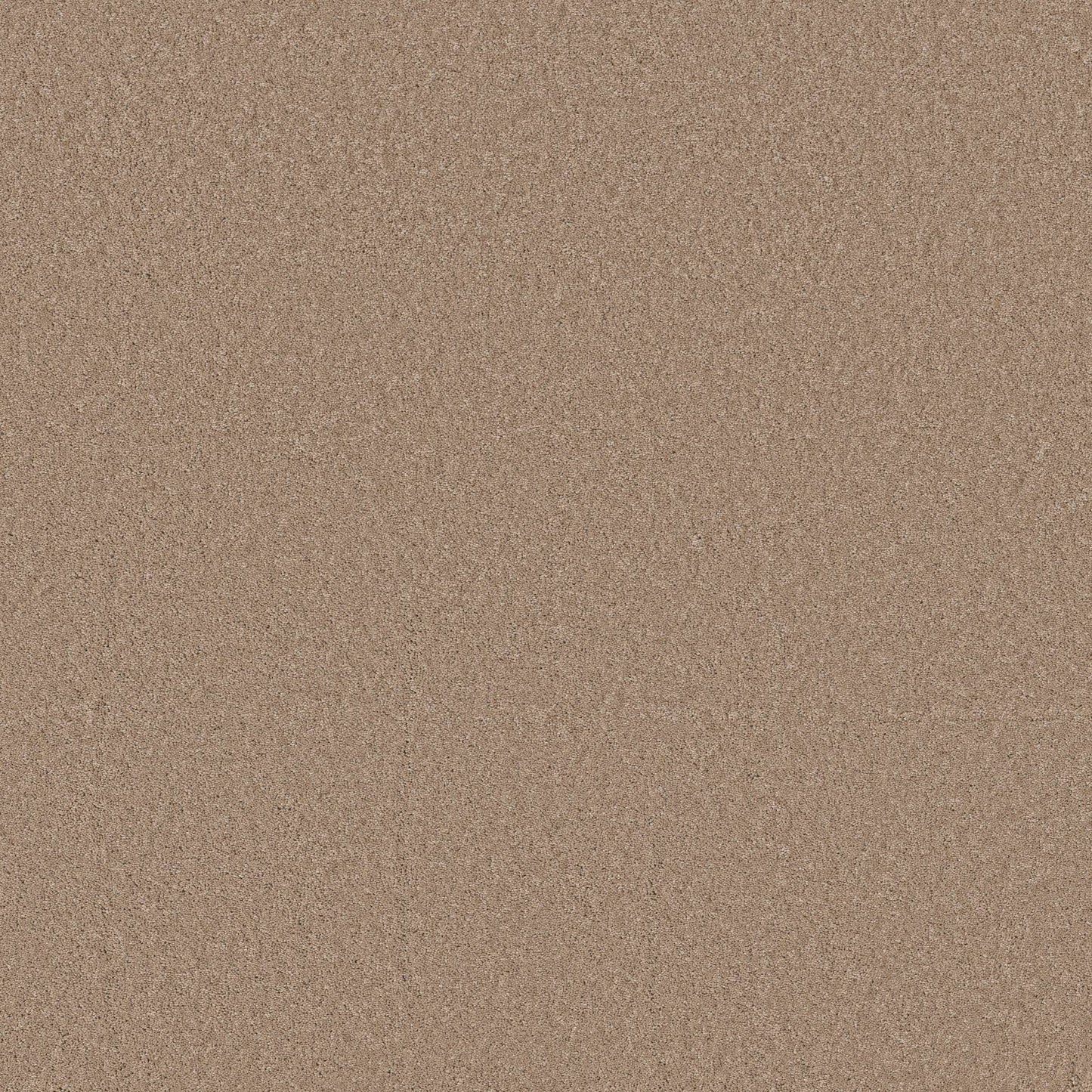 TEXTURE BCF