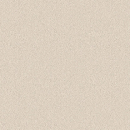 TEXTURE BCF