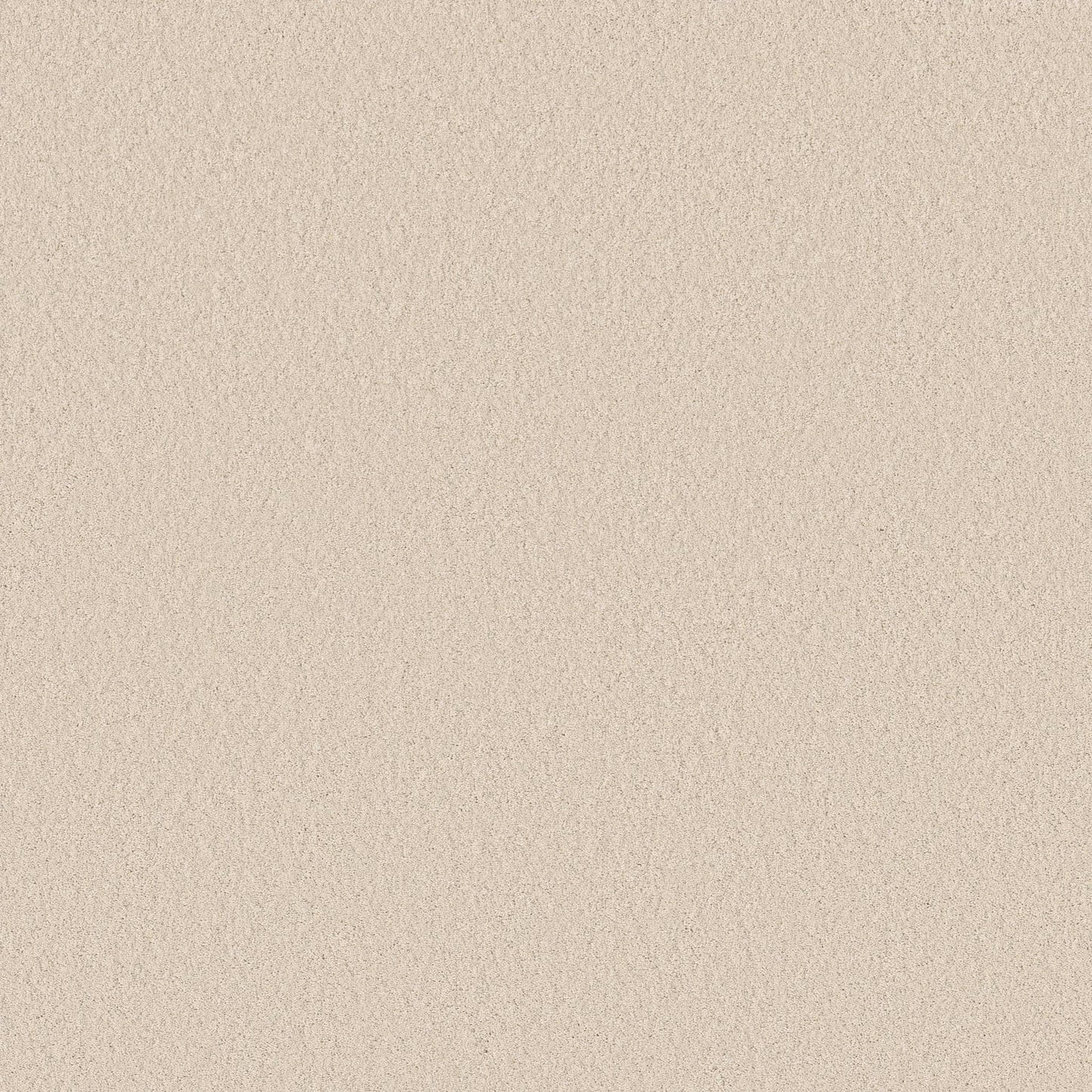 TEXTURE BCF