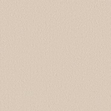 TEXTURE BCF