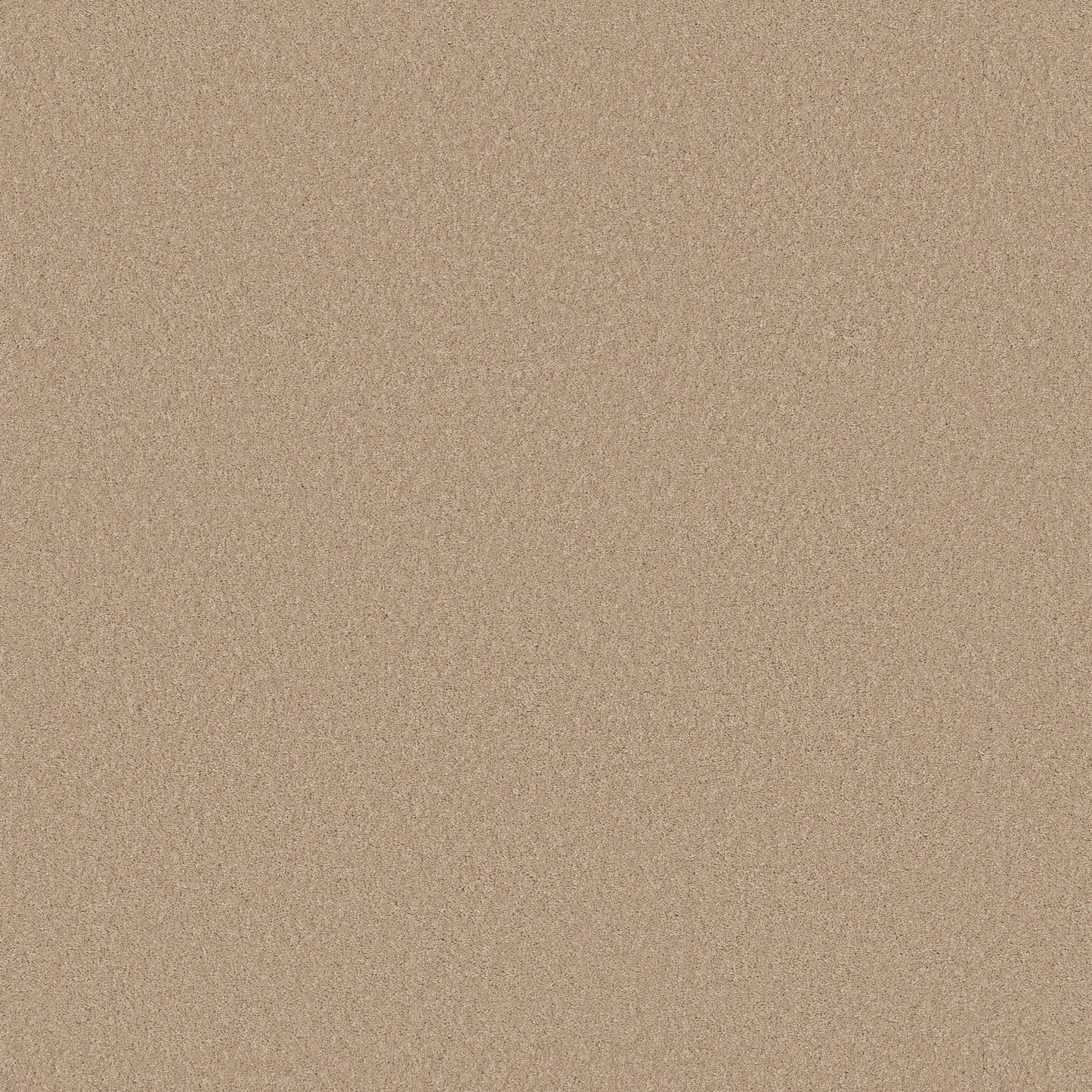 TEXTURE BCF