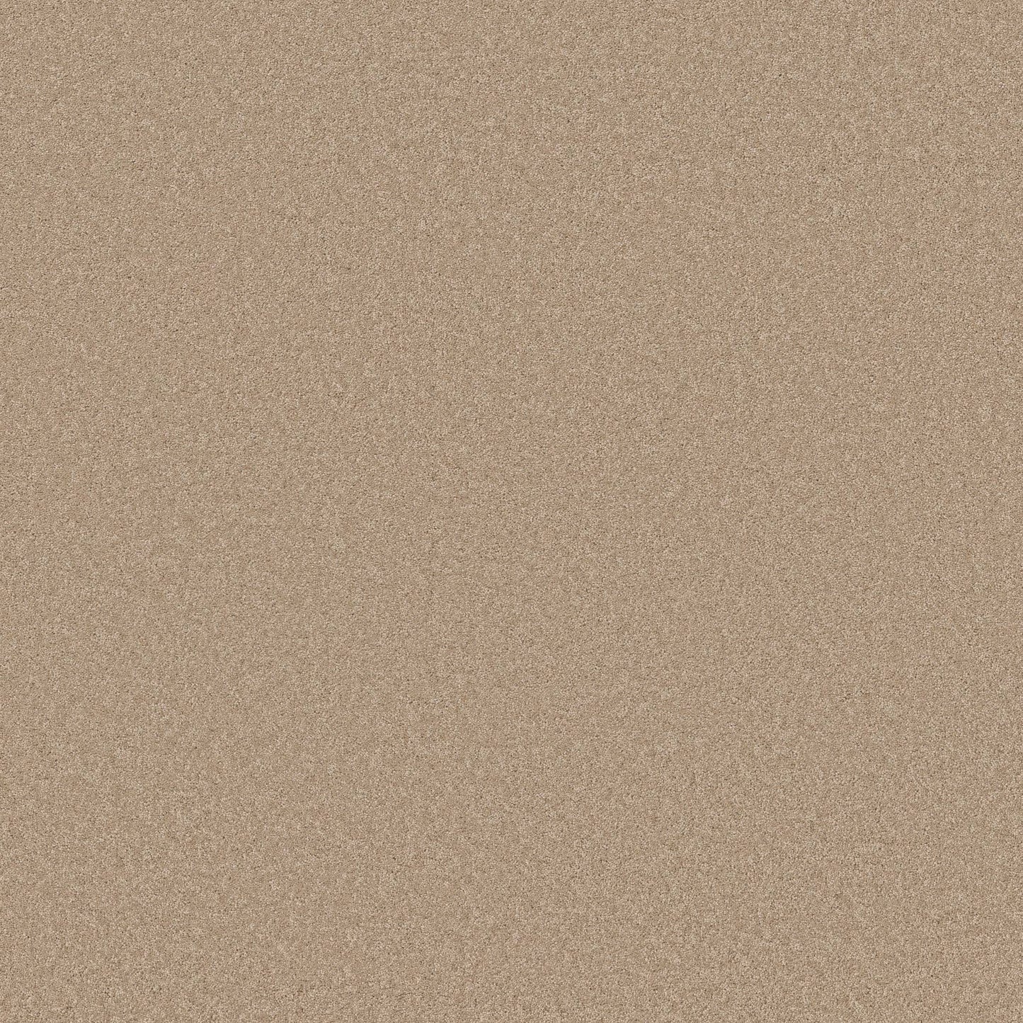 TEXTURE BCF