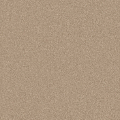 TEXTURE BCF
