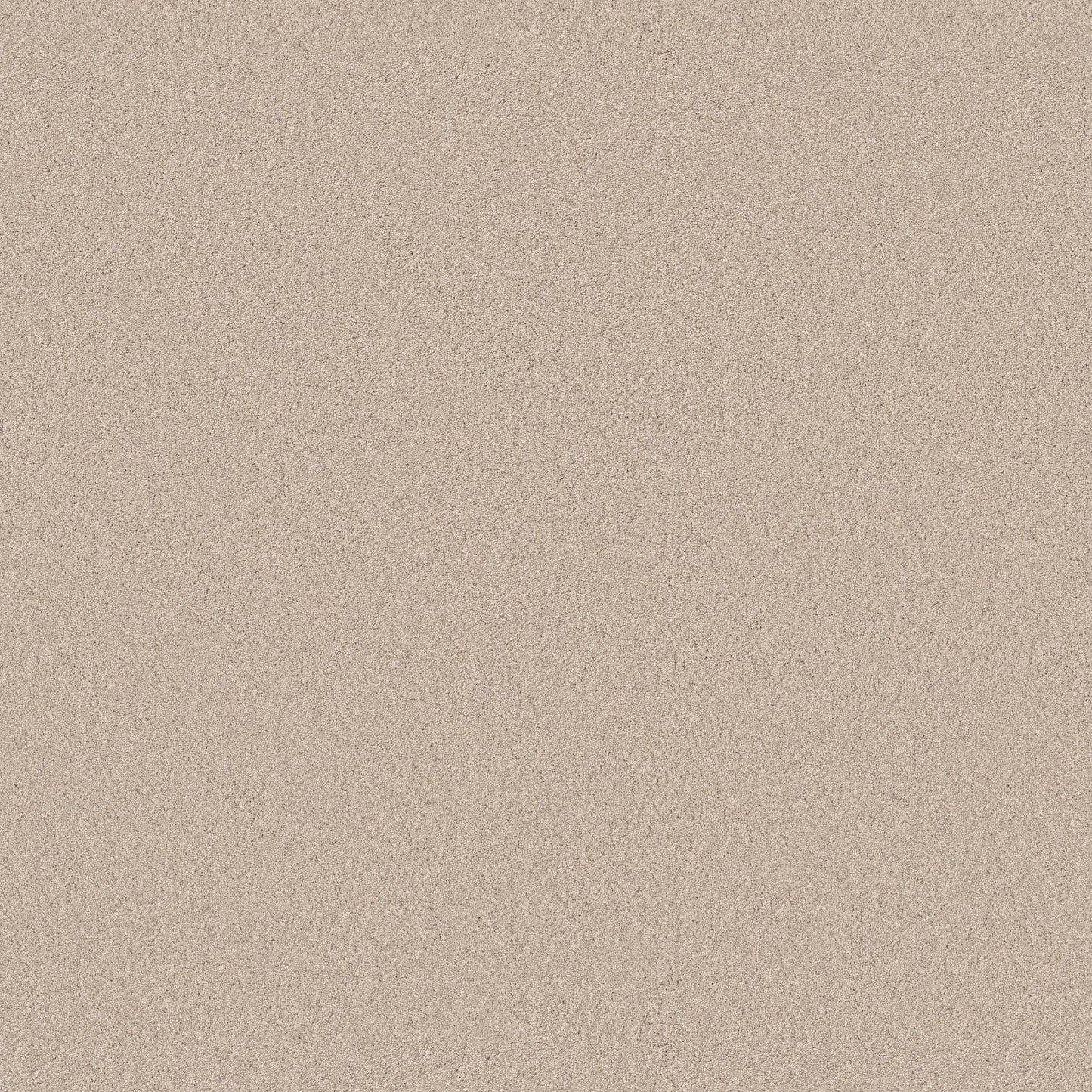 TEXTURE BCF