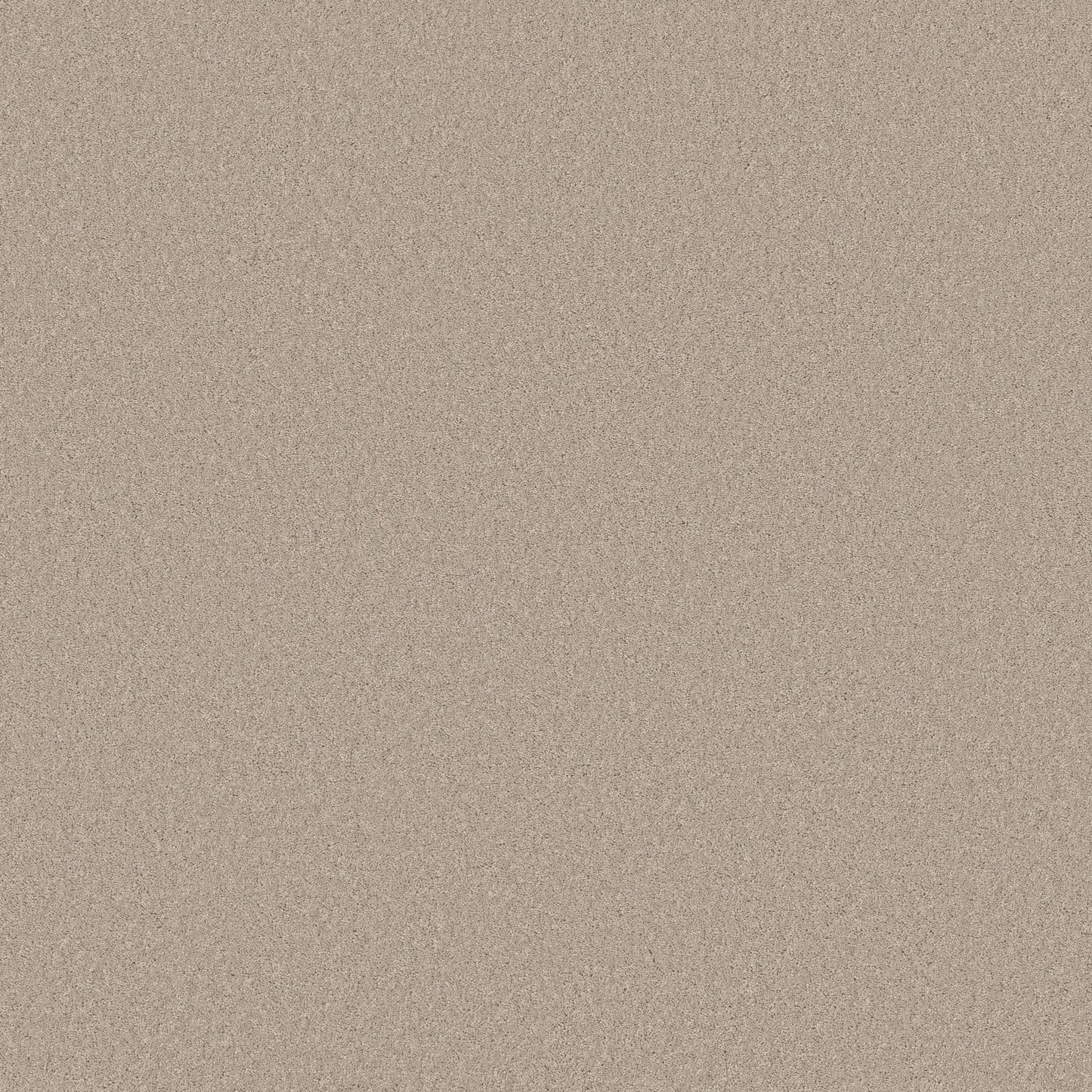TEXTURE BCF