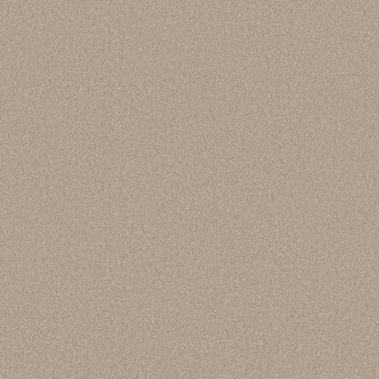 TEXTURE BCF