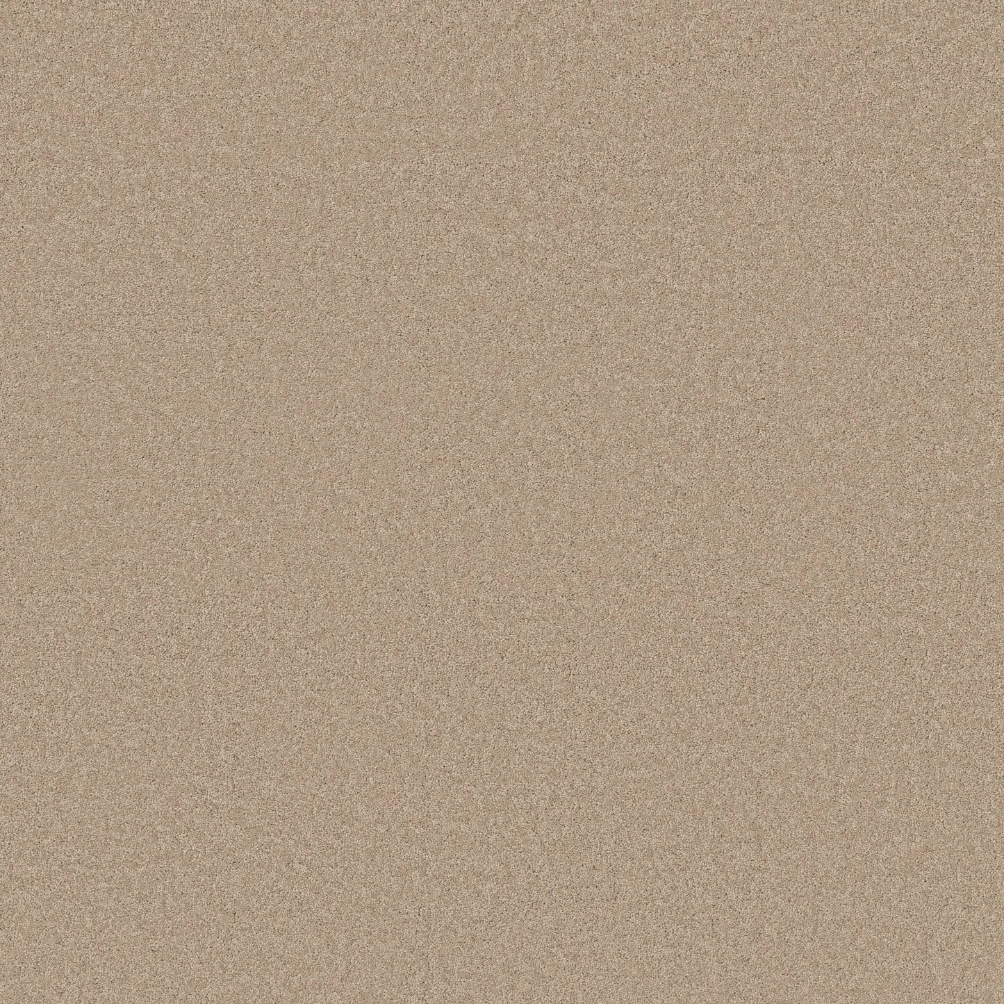 TEXTURE BCF
