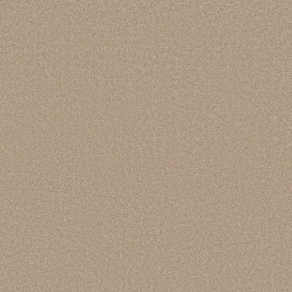 TEXTURE BCF