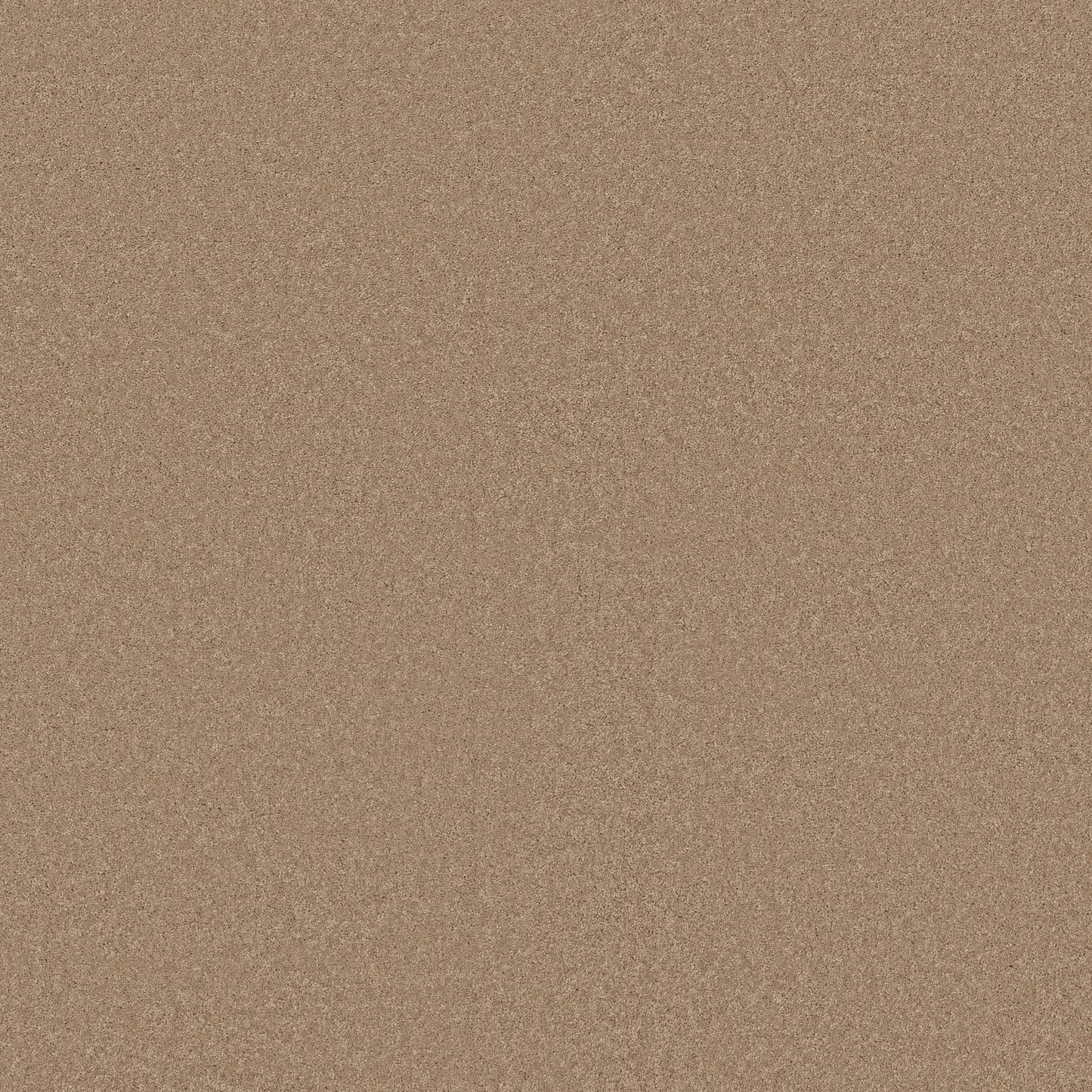 TEXTURE BCF