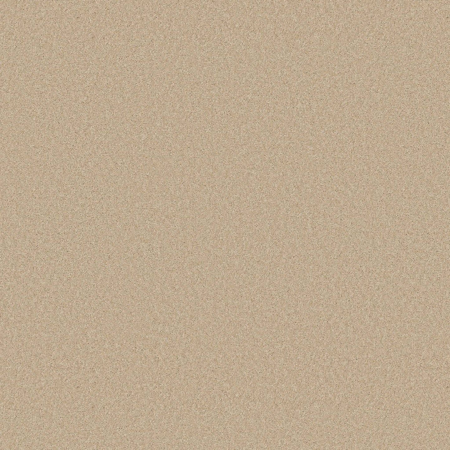 TEXTURE BCF