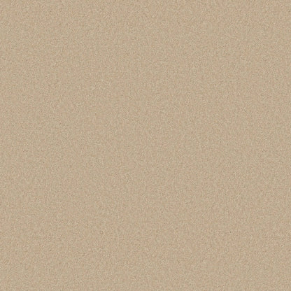 TEXTURE BCF