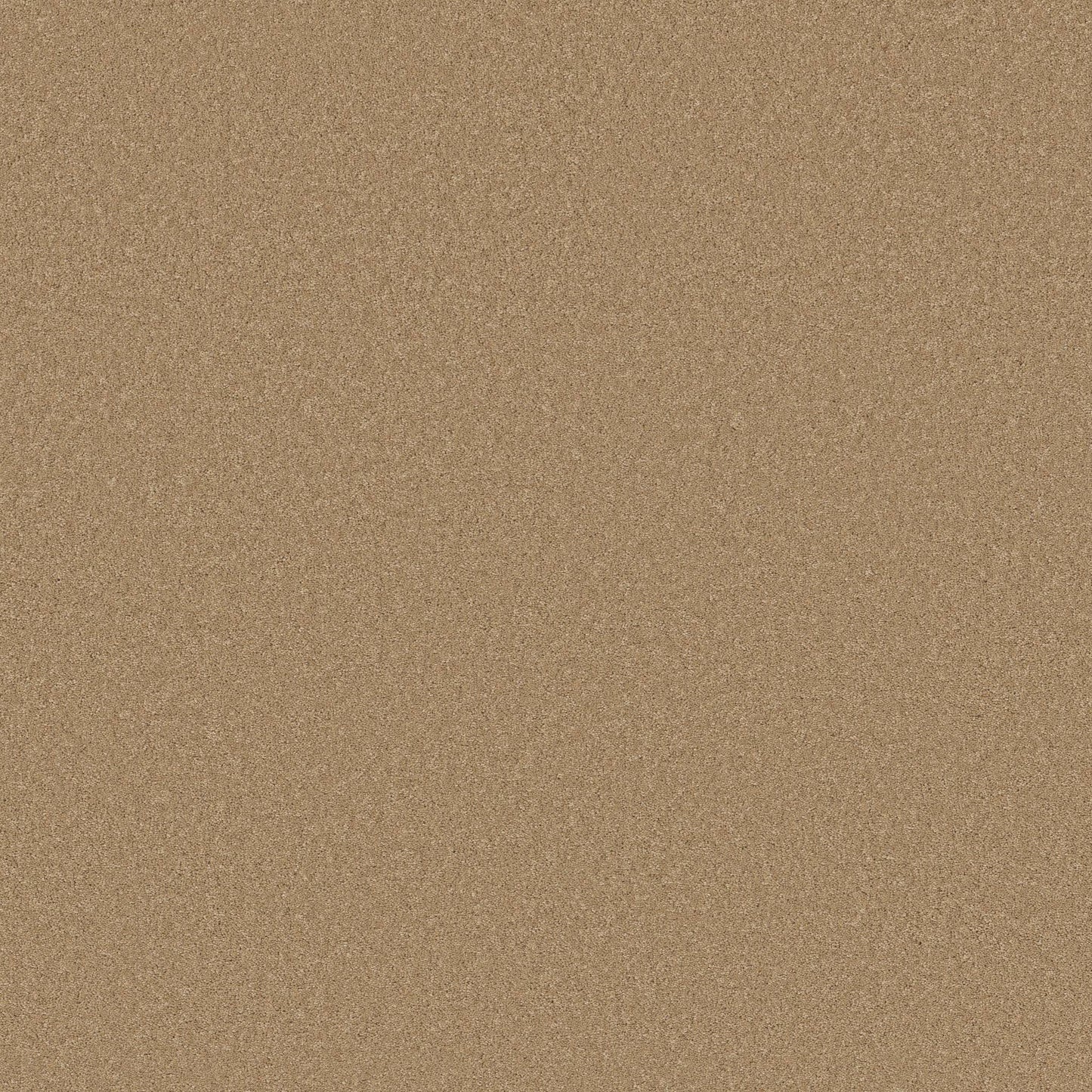 TEXTURE BCF