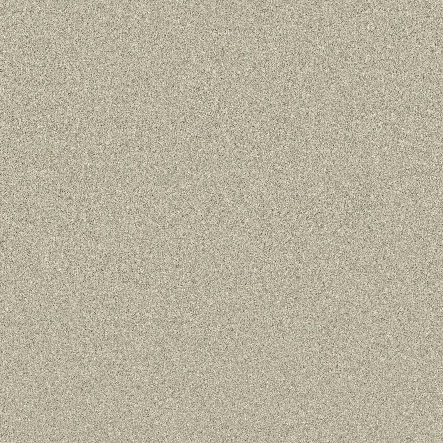 TEXTURE BCF
