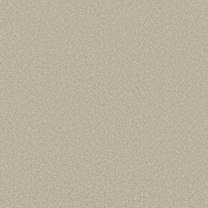 TEXTURE BCF
