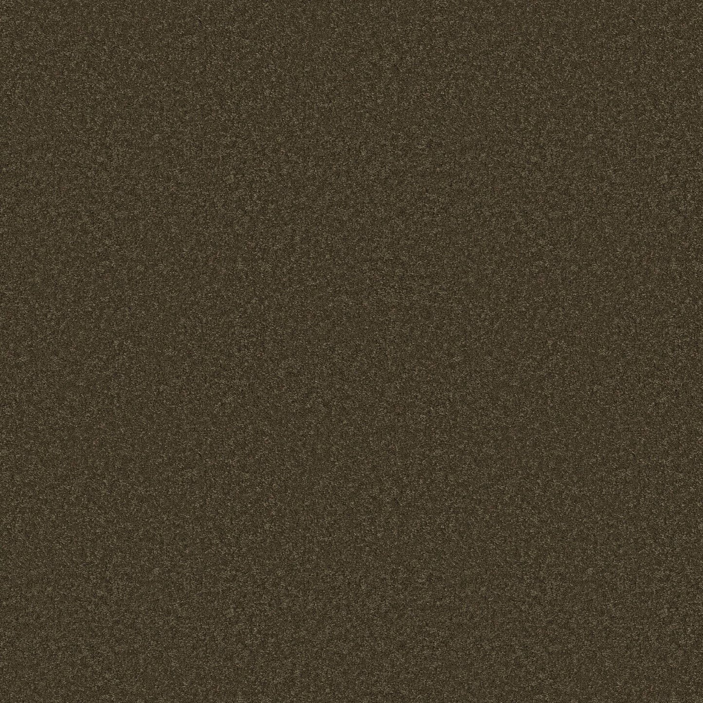 TEXTURE BCF