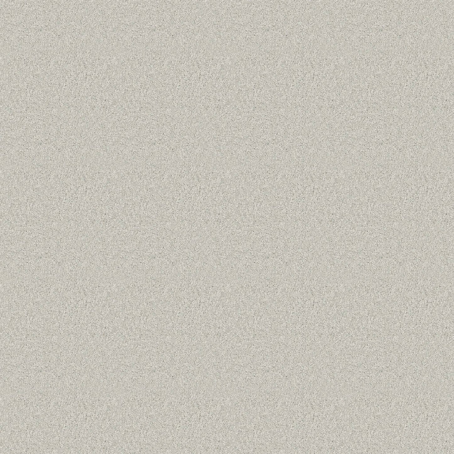 TEXTURE BCF