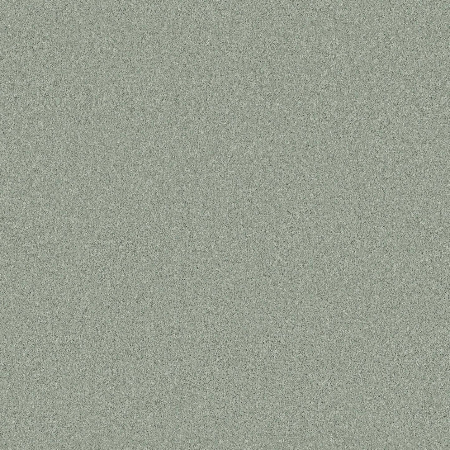 TEXTURE BCF