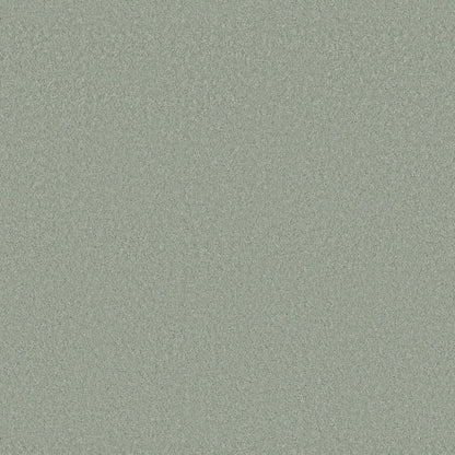 TEXTURE BCF