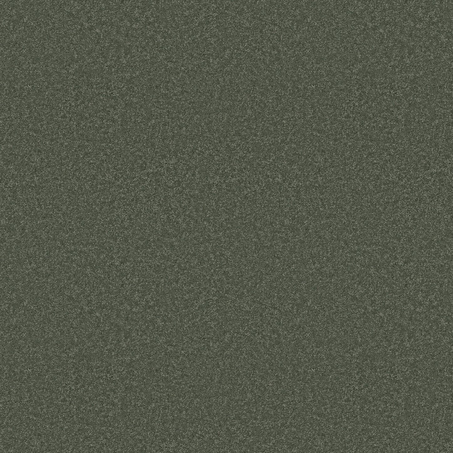 TEXTURE BCF