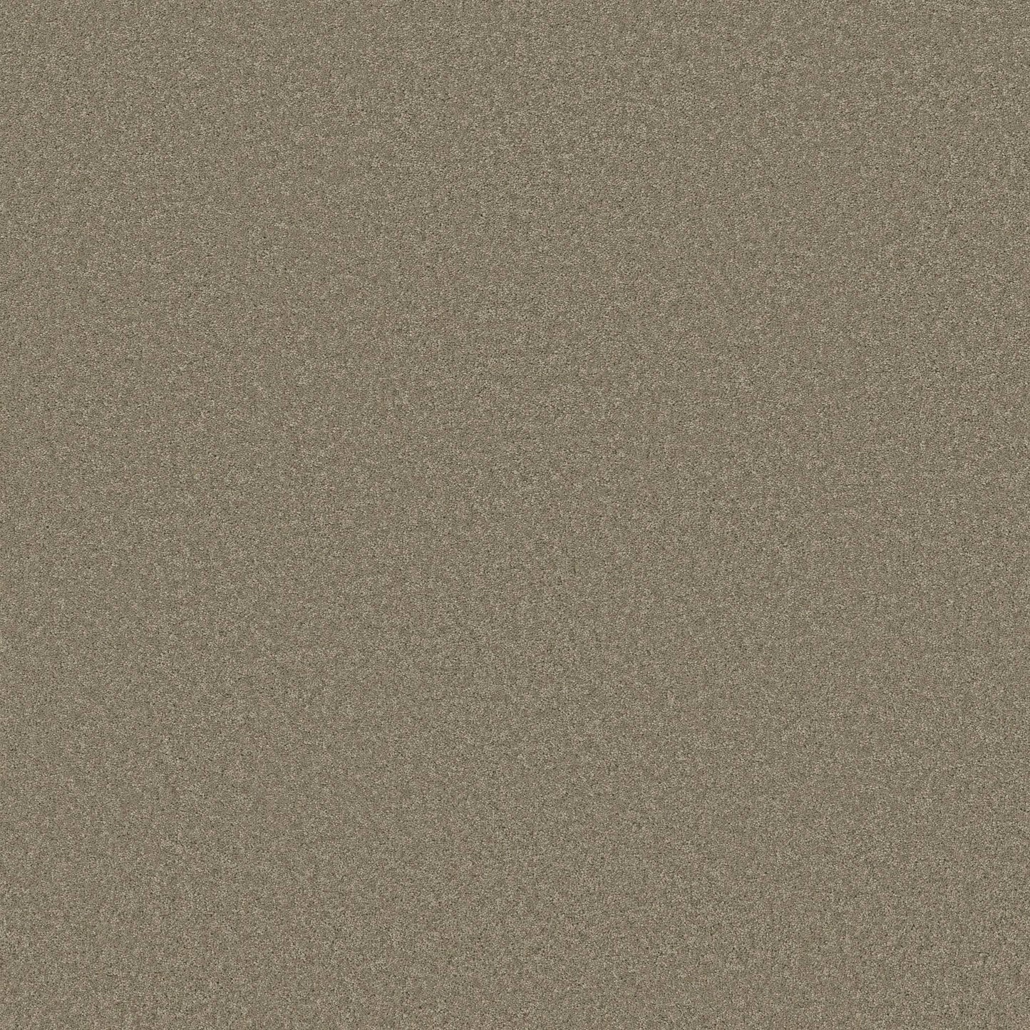 TEXTURE BCF