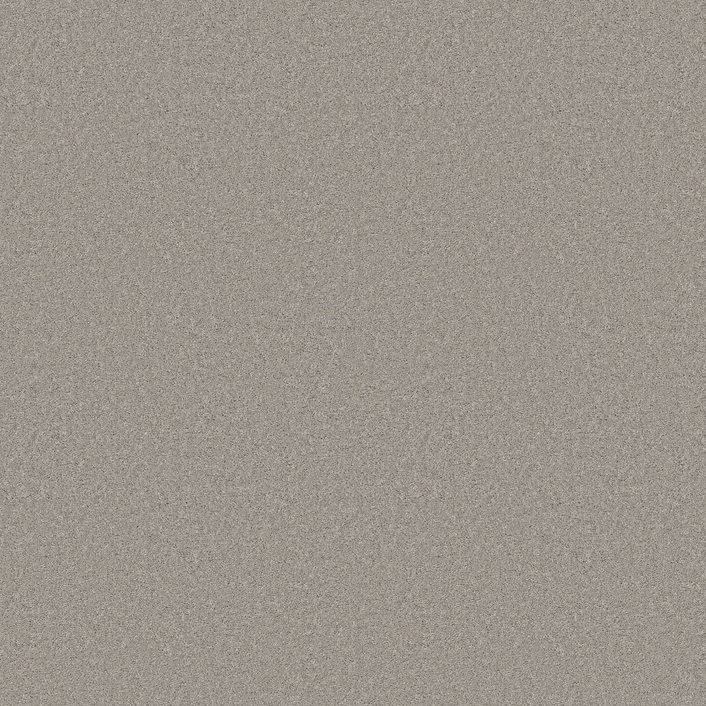 TEXTURE BCF
