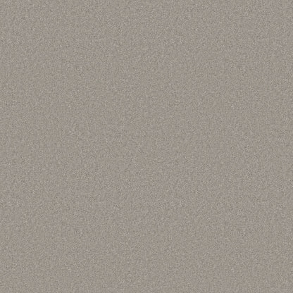 TEXTURE BCF