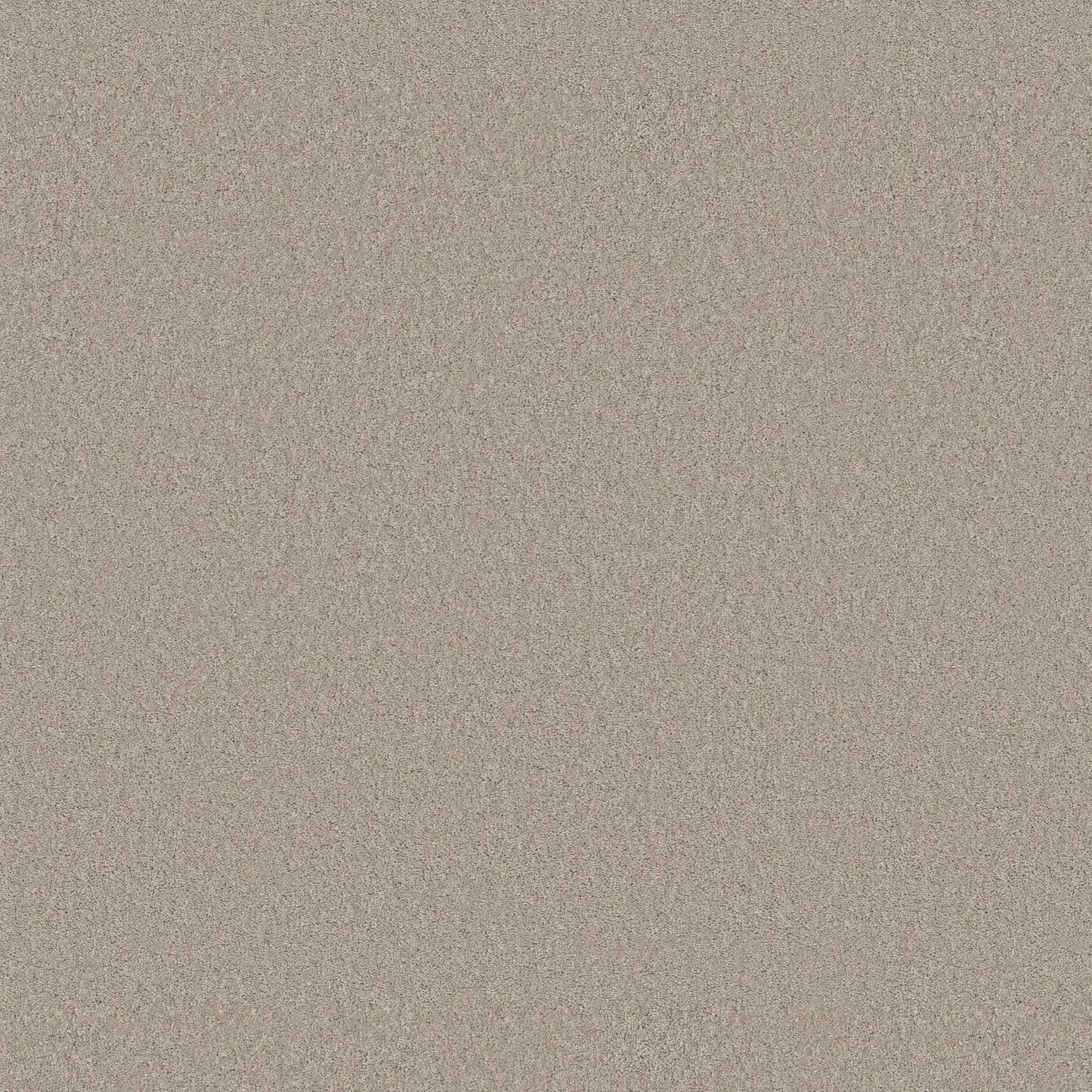 TEXTURE BCF