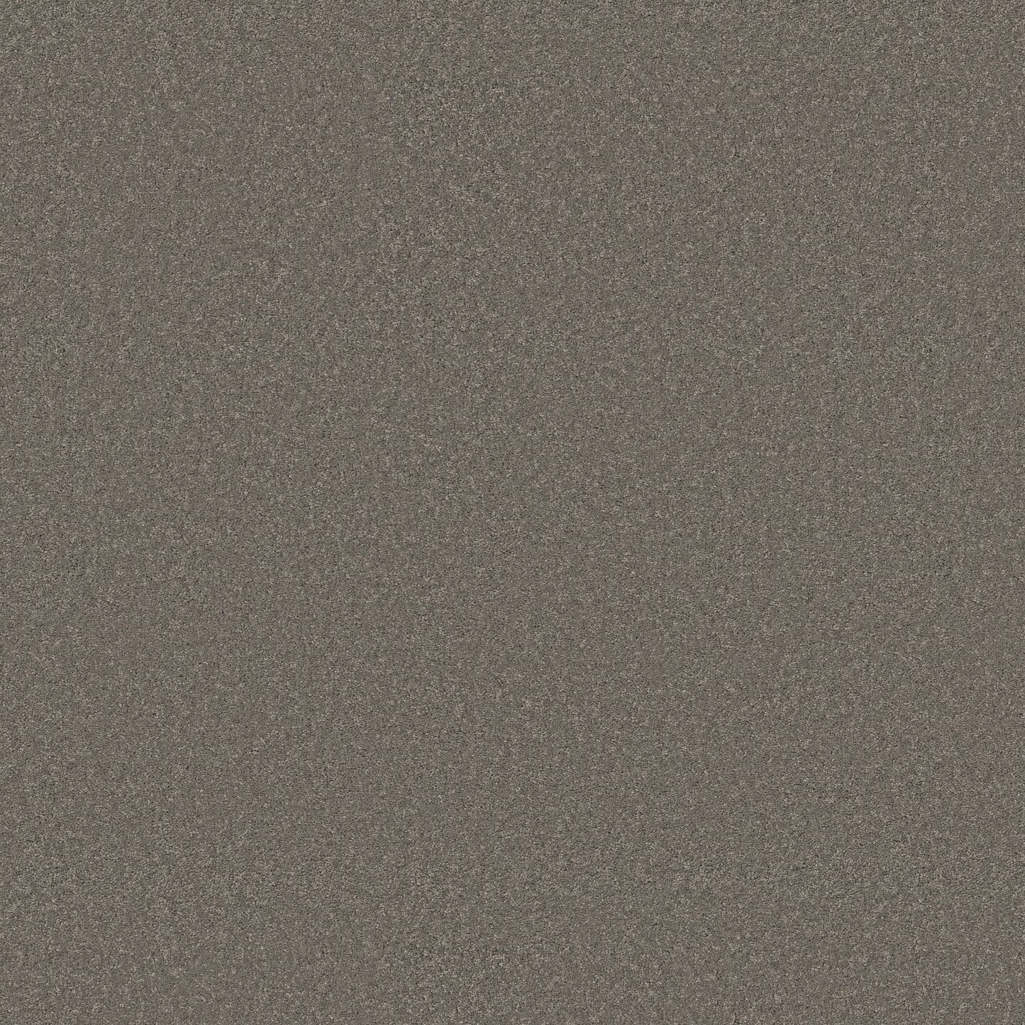 TEXTURE BCF
