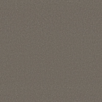 TEXTURE BCF