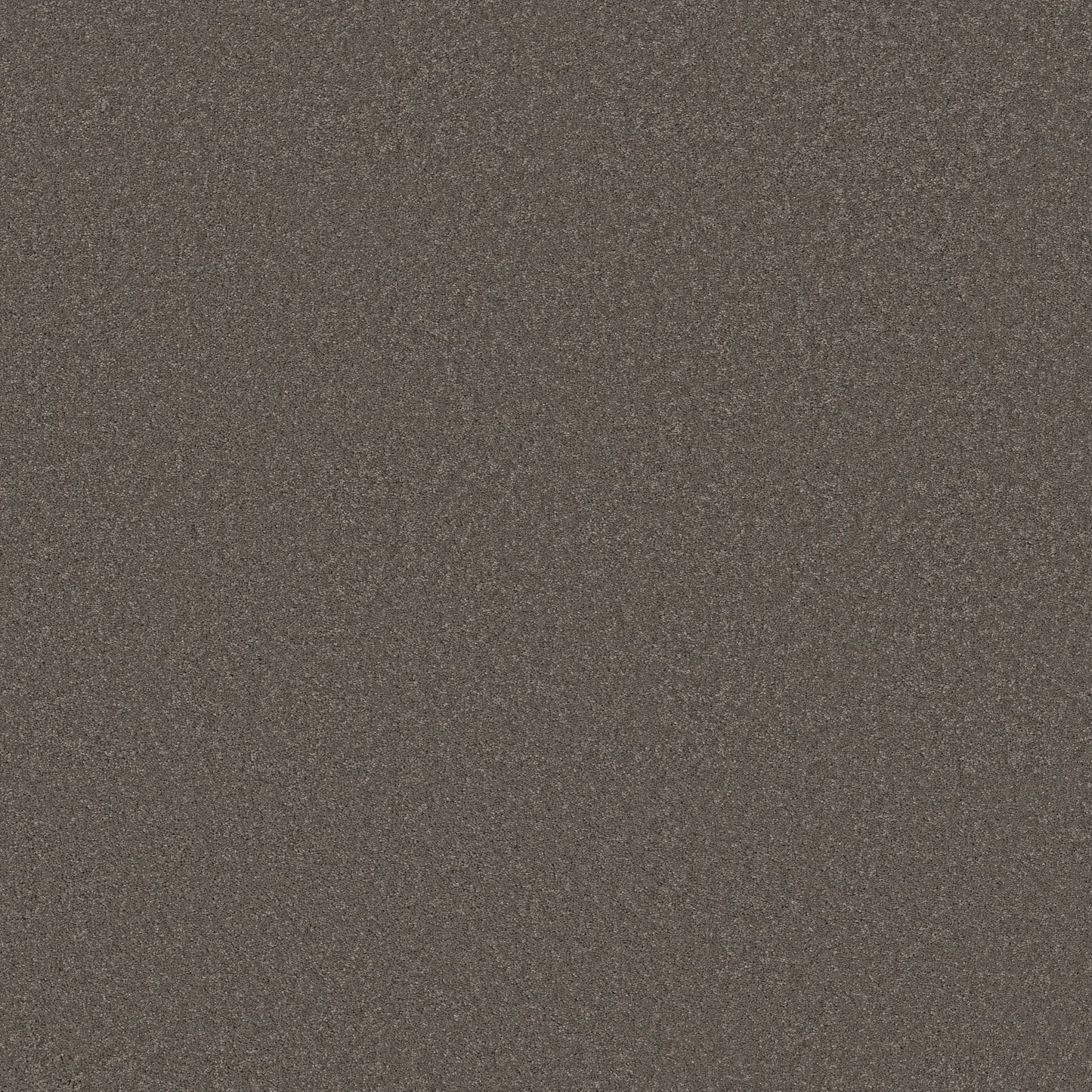 TEXTURE BCF