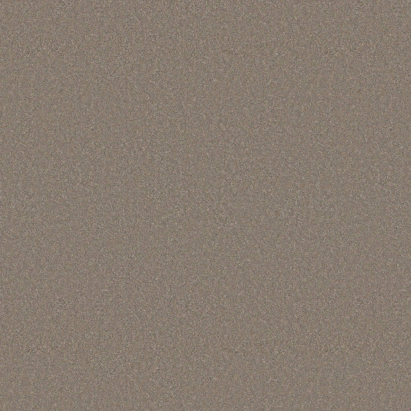 TEXTURE BCF