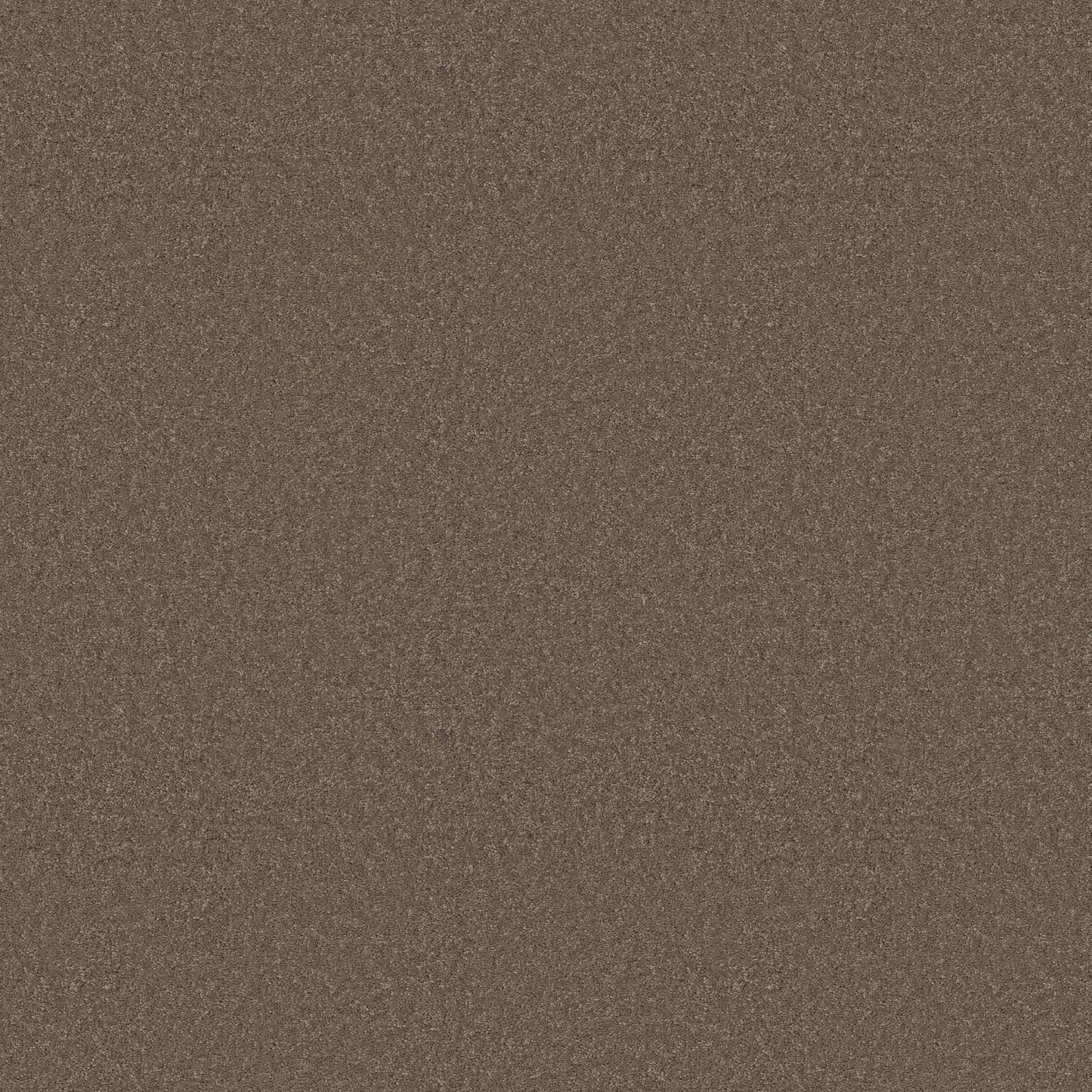 TEXTURE BCF