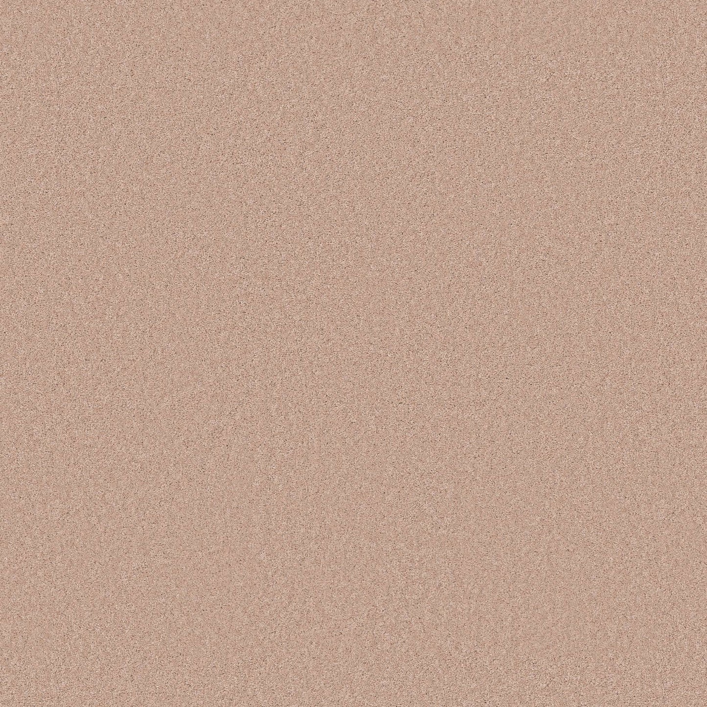 TEXTURE BCF