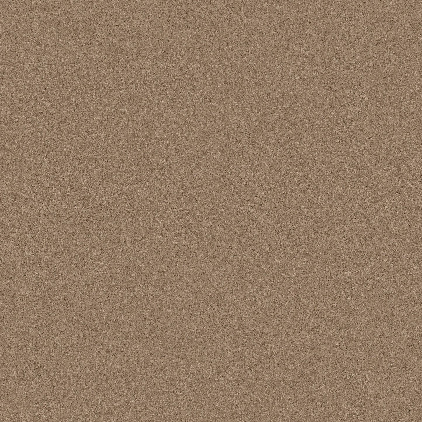 TEXTURE BCF